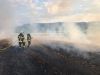 Brand (Feld,Wiese)