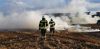 Brand (Feld,Wiese)