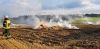 Brand (Feld,Wiese)