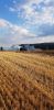 Brand (Feld,Wiese)