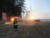 Brand (Busch, Baum, Hecke)