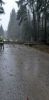 THL UNWETTER