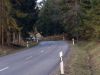 THL (Baum auf Fahrbahn)
